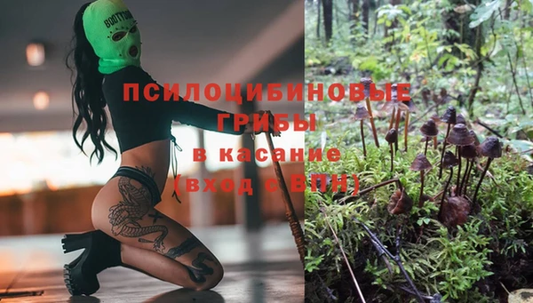 прущая мука Заволжск