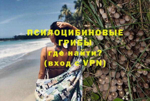 прущая мука Заволжск