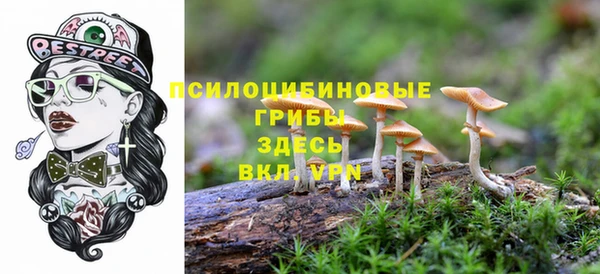 прущие грибы Струнино
