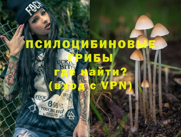 прущая мука Заводоуковск