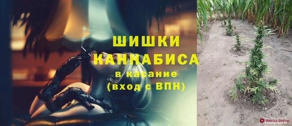 ПСИЛОЦИБИНОВЫЕ ГРИБЫ Строитель